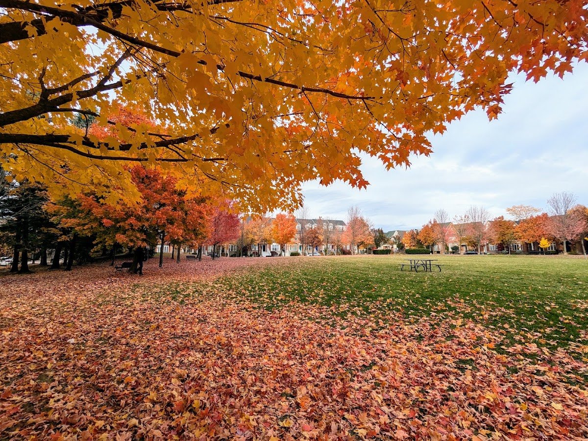 Angus Glen Village Green
